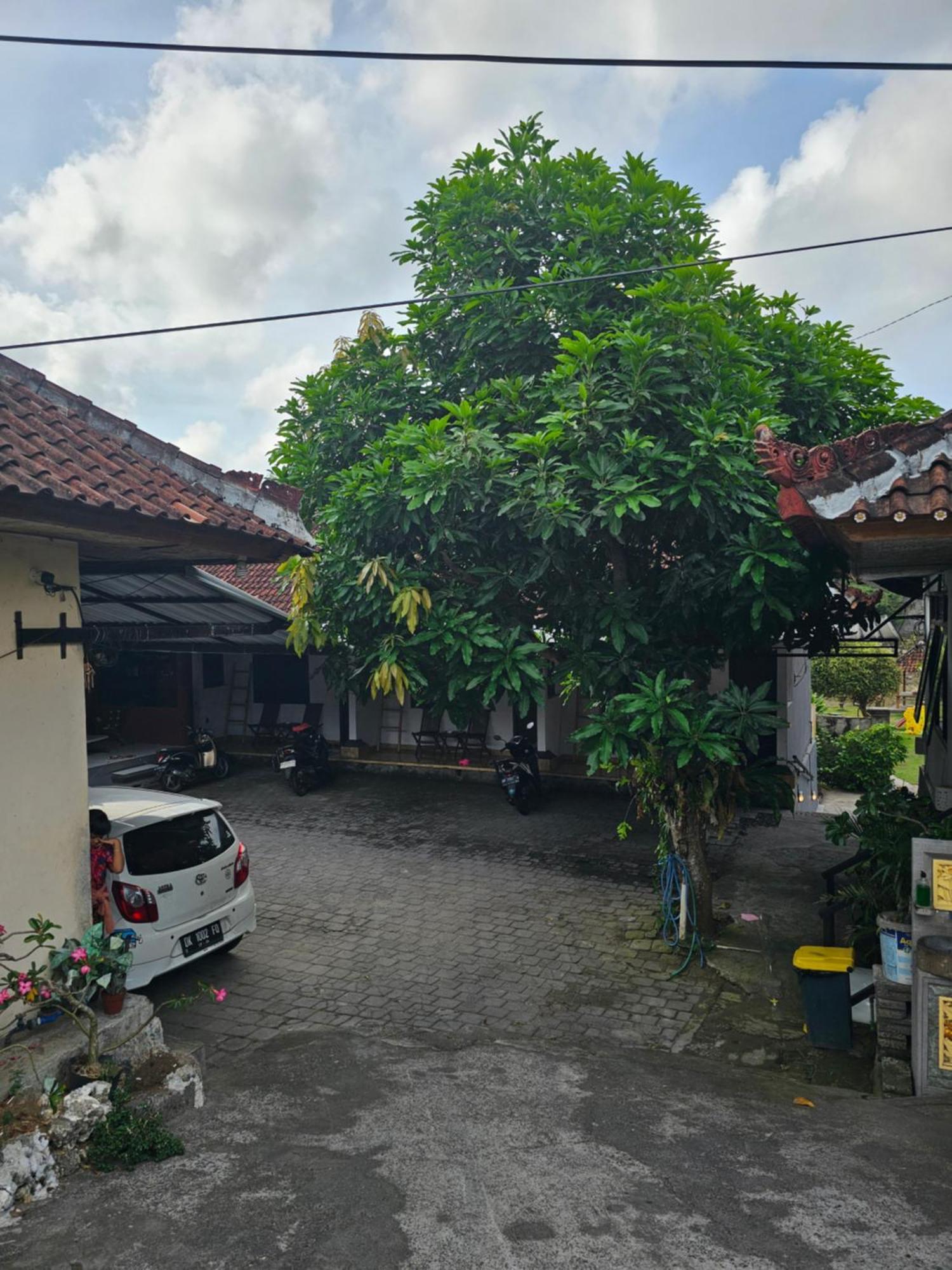 Padang-Padang Sari Homestay Uluwatu Værelse billede